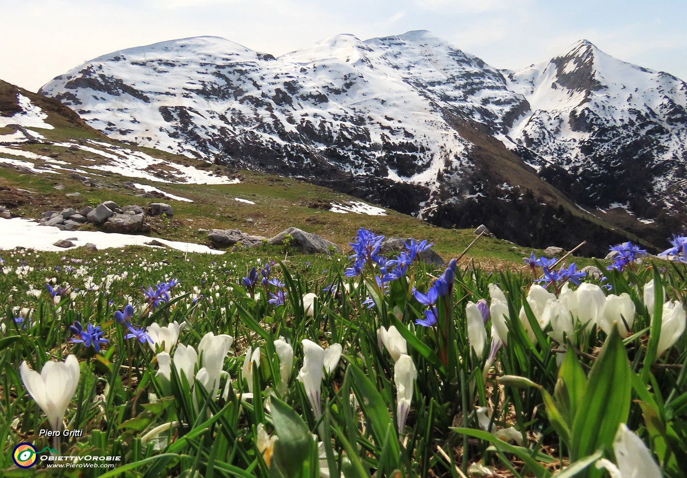 34 Crocus vernus (Zafferano maggiore) e Scilla bifolia (Scilla silvestre) con vista in Cimetto-Foppazzi-Grem.JPG